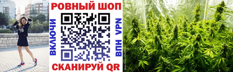 Как найти наркотики Шенкурск ГАШ  Бошки Шишки  Меф 