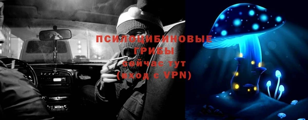 прущие крисы Балахна