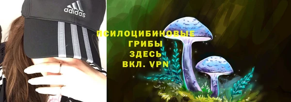 а пвп мука Балабаново