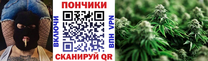 даркнет сайт  Шенкурск  Шишки марихуана Bruce Banner 